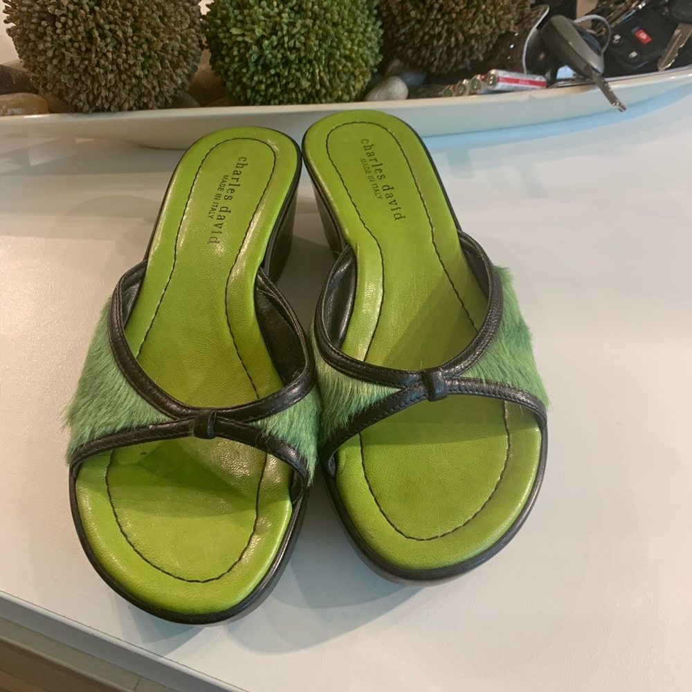 Charles David Sandal